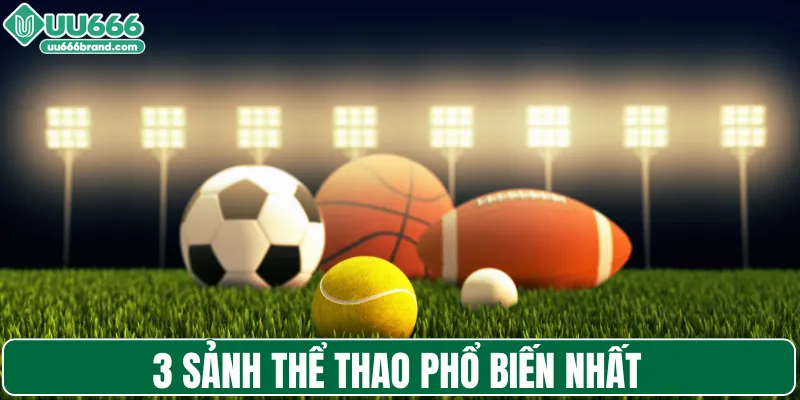 3 sảnh thể thao phổ biến nhất