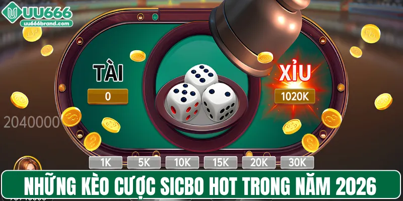 Những kèo cược sicbo HOT trong năm 2026